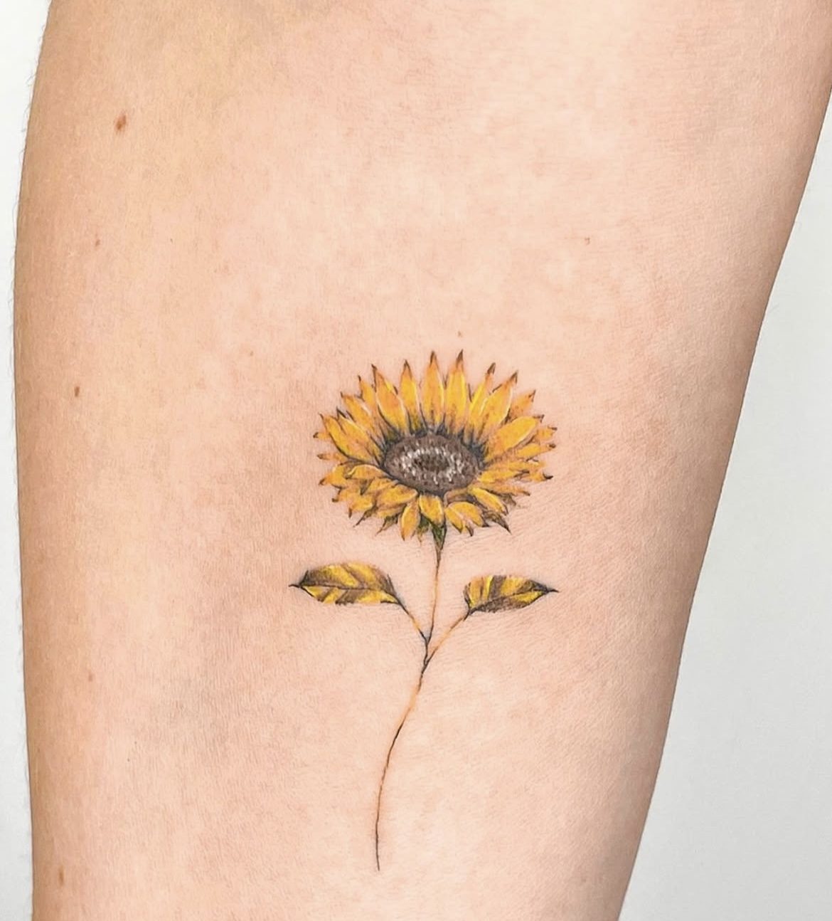 Color sunflower tattoo on forearm