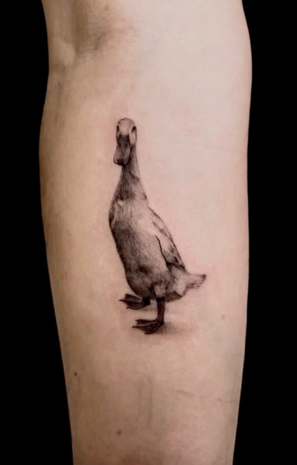 Fine line duck tattoo on forearm