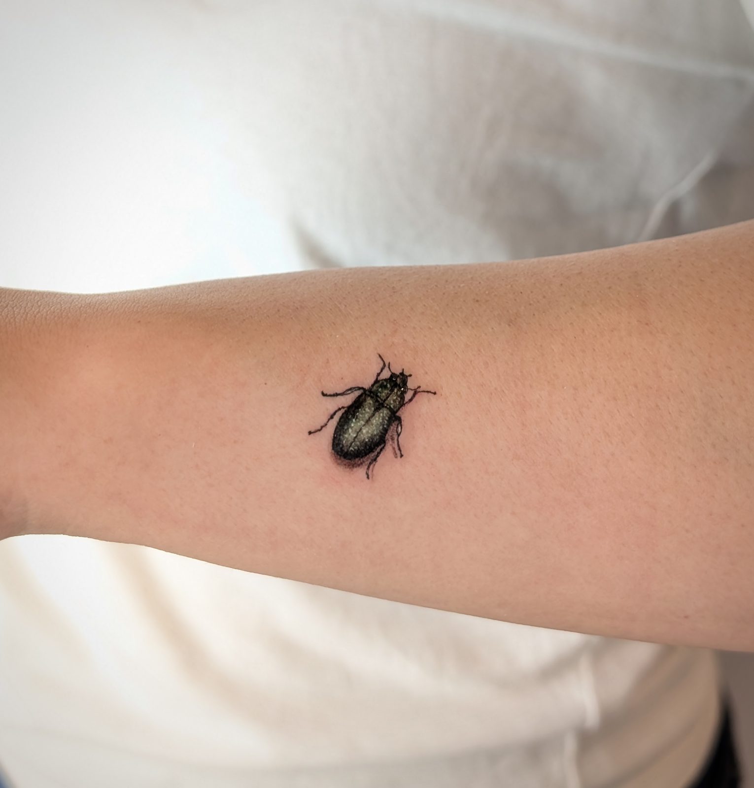 Small detailed beetle micro-realism tattoo